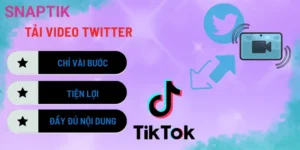 Cách Tải Video Reddit – Công Cụ Tổng Hợp Siêu Nhanh