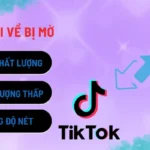 video-tai-ve-bi-mo