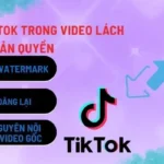 xoa-logo-tiktok-trong-video-lach-ban-quyen